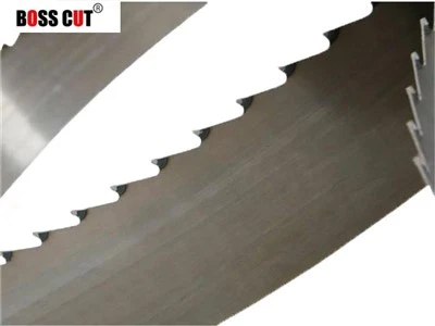 clear view of TCT band saw blade